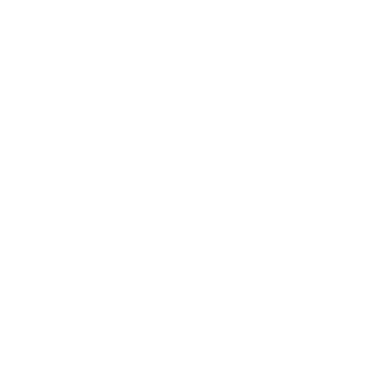 White Plane Icon